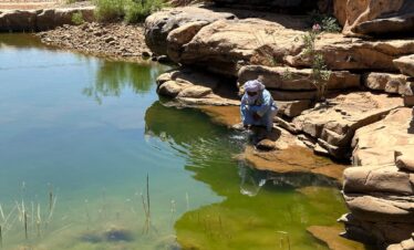 7-Day Trek in Morocco’s Stunning Rose Valley Region